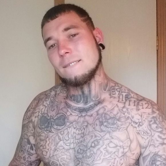 Meet your Posher, Joey - Picture 1 of 1